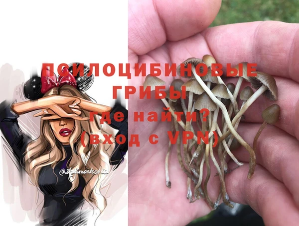 трава Абаза